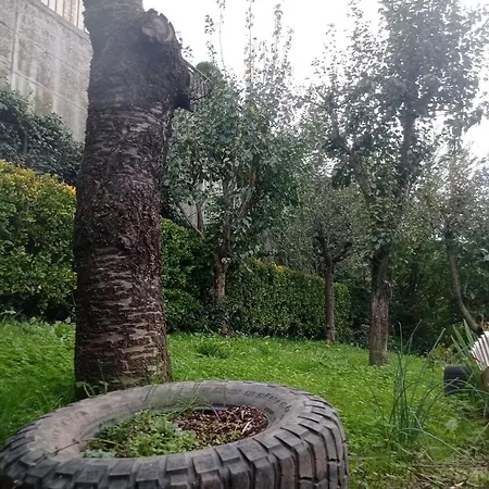 Casa Tranquila
